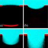 A new progress made in wetting on micro-structured surfaces