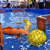 The sharPKUngfu team wins honors in the 2015 International Competition of Underwater Robot