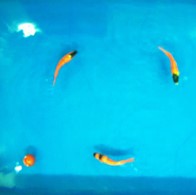 Professor Guangming Xie’s group makes new progress in coordination of multi-agent systems