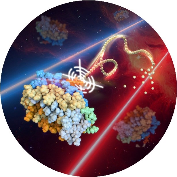 Prof. Weiping Gao publishes a review in Angewandte Chemie International Edition and raises the concept of 